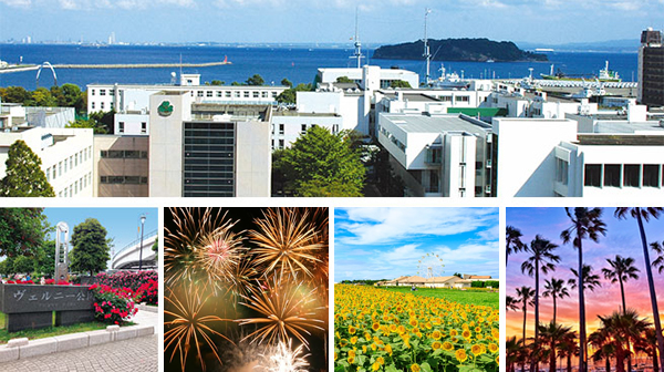神奈川歯科大学