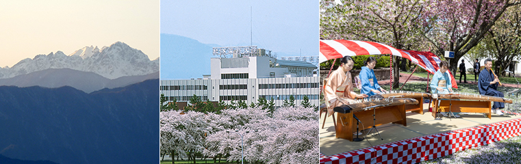 松本歯科大学