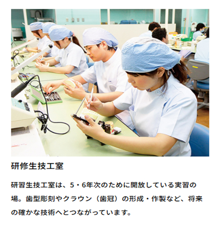 昭和大学歯学部