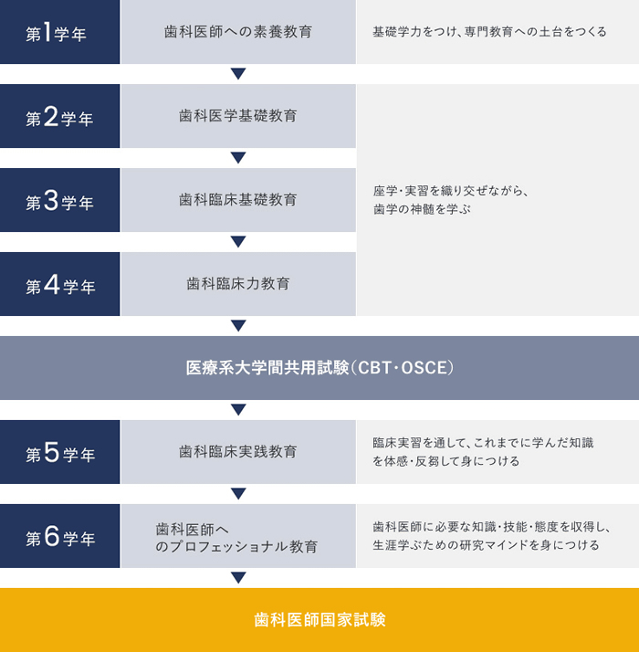 松本歯科大学