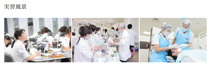 東京歯科大学