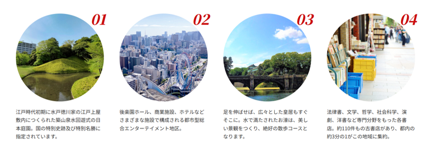 日本大学歯学部