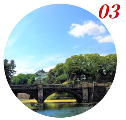 日本大学歯学部