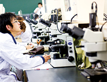 鶴見大学歯学部