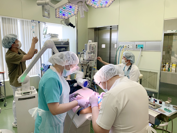 【画像・全身麻酔科下歯科治療の様子】